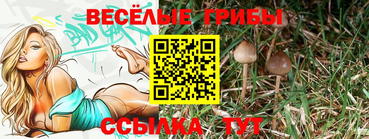 Майский  Галлюциногенные грибы ЛСД  Вход с VPN 